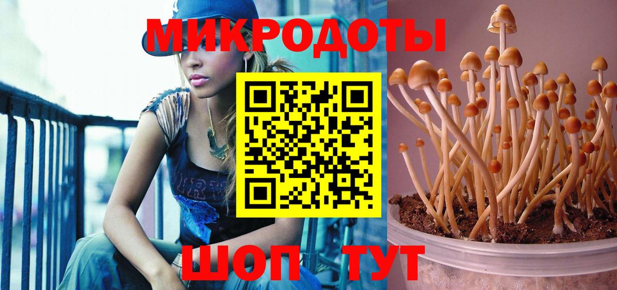 Псилоцибиновые грибы прущие грибы  Вход с VPN  Сочи  Галлюциногенные грибы ЛСД 
