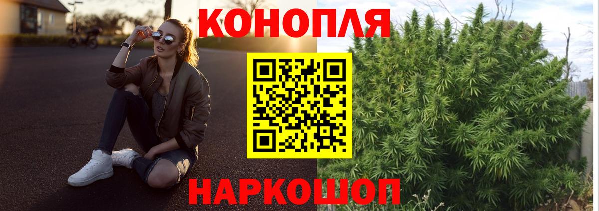 Бошки Шишки семена  Марихуана гибрид  Шишки марихуана семена  Каннабис AK-47  Сочи  Вход с VPN 